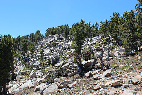 The last slope leading to the summit of Twin Mountain