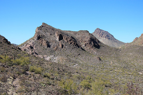 A view of Little Cat Mountain and Golden Gate Mountain beyond from the Explorer Trail