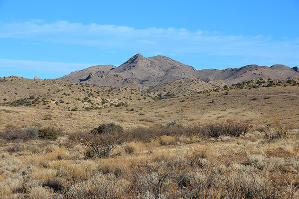 The double summits of Grease Benchmark on the left and Greasewood Mountain on the right. I parked below them to the left.