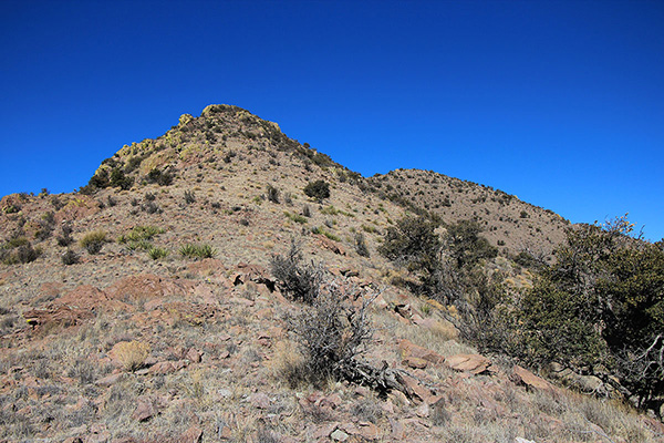 From the upper south ridge I finally saw the summit of Greasewood Mountain to the right and traversed directly towards it