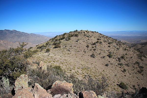 Looking northeast to the summit of Greasewood Mountain from Grease Benchmark