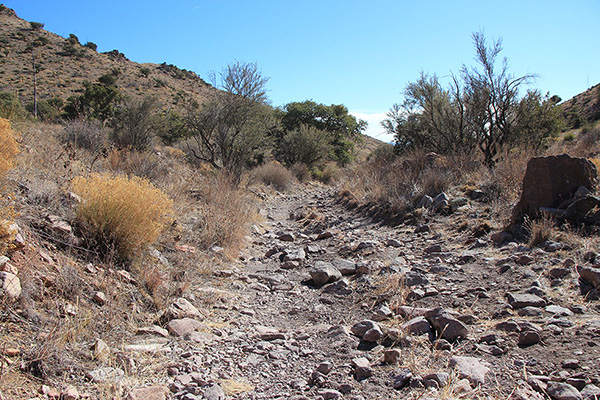 Much of the road was in good shape, but occasionally I encountered rocky sections