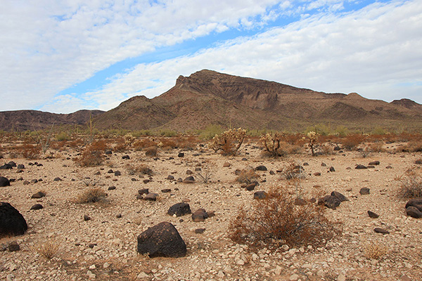 Growler Peak from near our parking spot along Charlie Bell Road