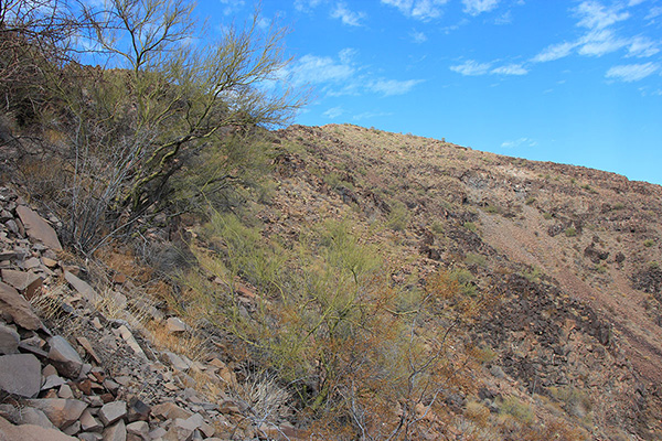 Traversing slopes below cliffs until we found a steep but short climb to the ridge above us