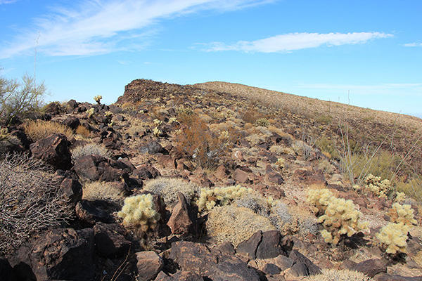 The upper southeast ridge above the tower and cliffs