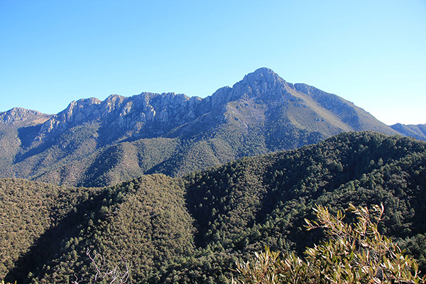 Mount Wrightson from the Agua Caliente Trail