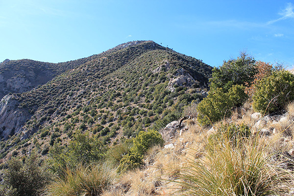 Looking up the Northeast Ridge of Montezuma Peak. We climbed mostly left of the ridgeline.