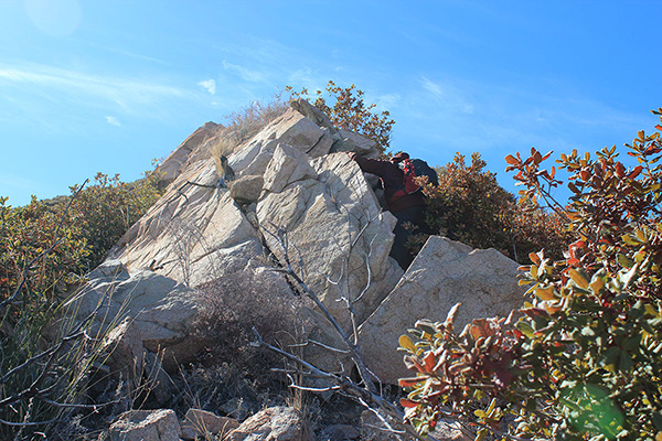 Dave leading midway up the Northeast Ridge of Montezuma Peak