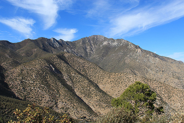 Miller Peak to the north in afternoon light