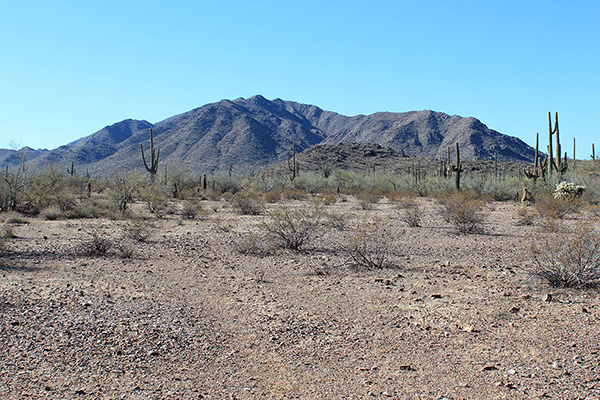 Prieta Peak from where we left the road and began hiking directly towards its north slopes