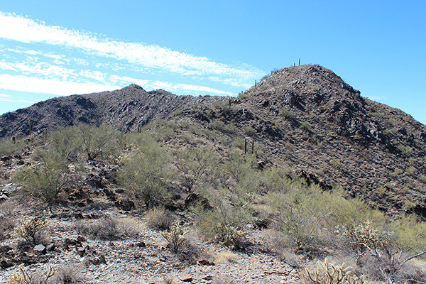 We approach the "solitary saguaro" subpeak; is the peak visible left of center ahead the summit?