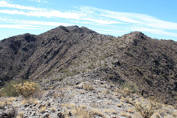 From the "solitary saguaro" subpeak I see another peak rising beyond the false summit.
