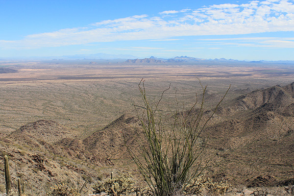 The West Silver Bell, Silver Bell, Waterman, and Santa Catalina Mountains are visible ESE from Prieta Peak
