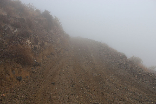 Shortly after passing the locked gate I climb the steep road into the clouds