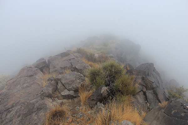 The trail reaches and climbs the Crossman Peak summit ridgeline