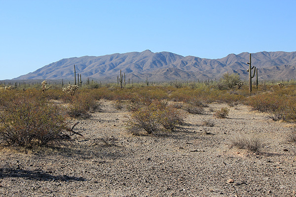 Javelina Mountain and Maricopa Peak early in the drive in Tuesday morning