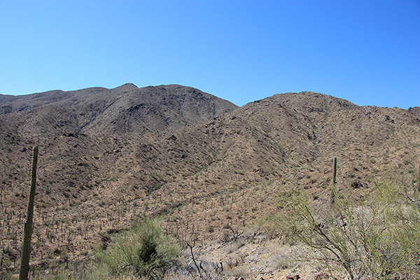 Maricopa Peak slipping behind the upper slopes from my view low on the NW Ridge