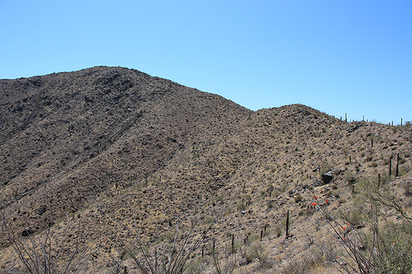 The NW Ridge leads to the subsidiary summit above