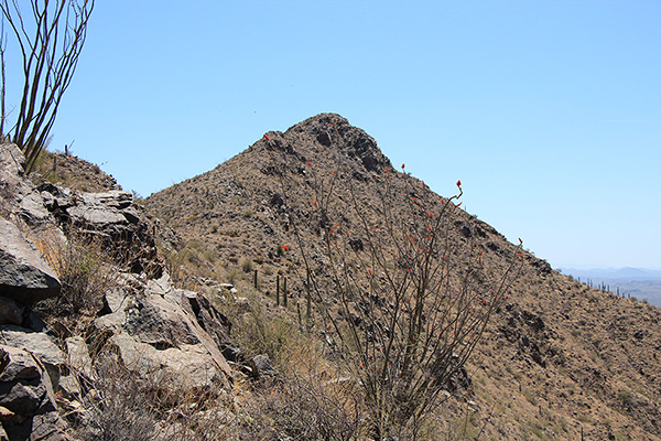 Maricopa Peak comes into view from below the subsidiary summit