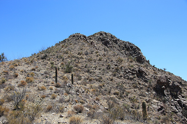 Climbing above the saddle towards the summit which lies just beyond view