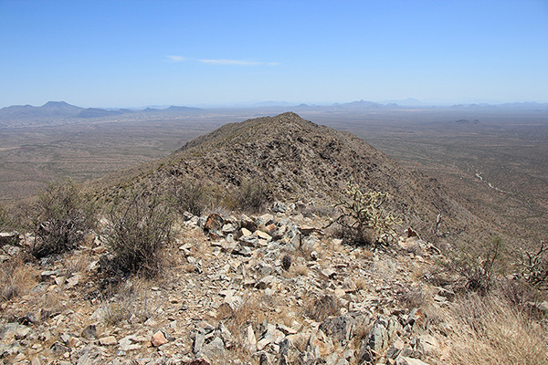 The view southeast along the spine of Javelina Mountain from the Maricopa Peak summit