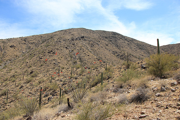 Looking back up the North Slope as I climb the first of several low ridges towards my Jeep