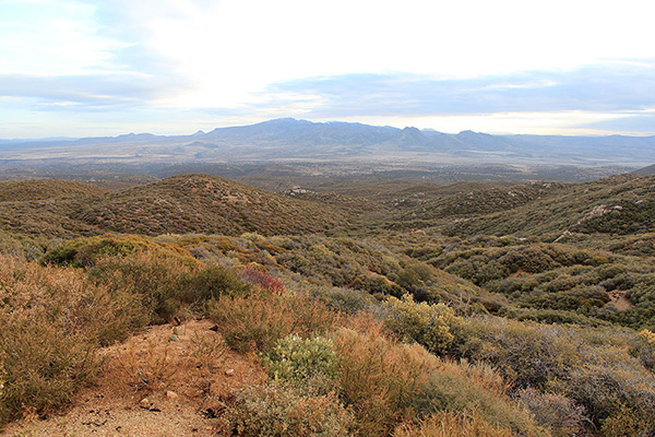 Our first view of Mohon Peak from Bogles Ranch Road and the Aquarius Mountains