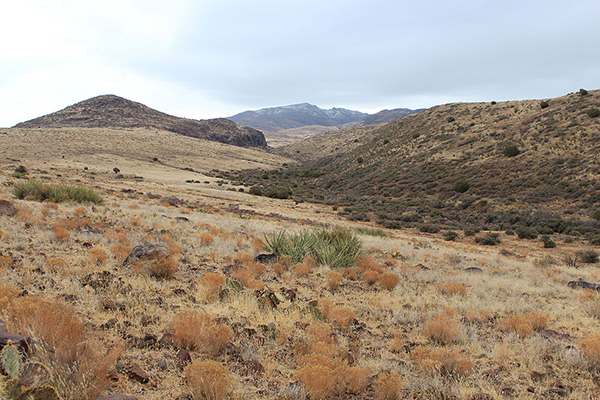 Black Butte and Mohon Peak beyond from the ranch road above Gonzales Canyon