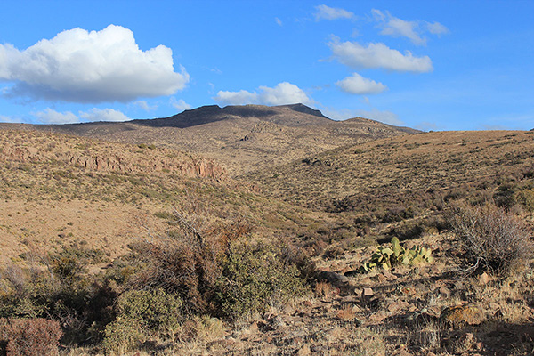 I look back at Mohon Peak in afternoon light after returning to the ranch road