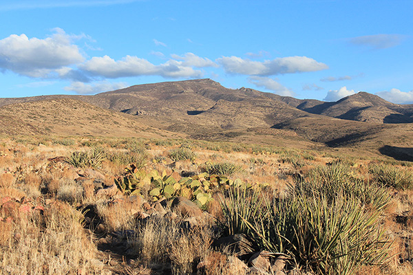 My last good view of Mohon Peak before I descend into Dividing Canyon