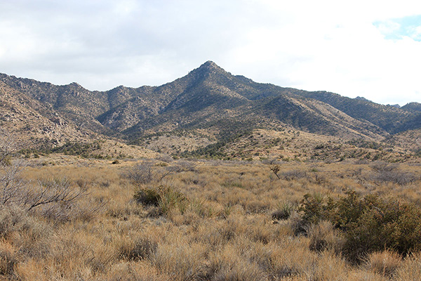 Nearing Peacock Peak from Jan Road