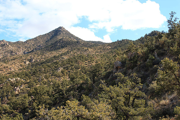 From my parking spot I gained and followed the ridgeline leading towards Peacock Peak on the left