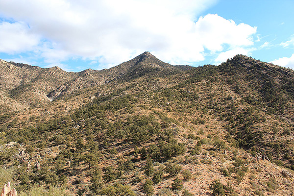 I followed the mostly open ridgeline as it wound upwards towards the summit