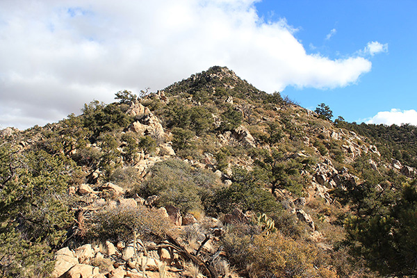 The route passes around rock blocks, under trees, and through brush as I approach the summit