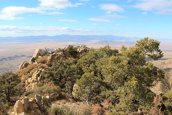 The Cerbat Mountains to the WNW from the Peacock Peak summit