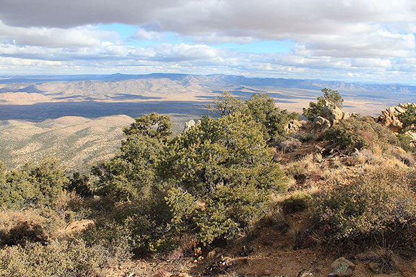 I can't identify any of the peaks east from the Peacock Peak summit