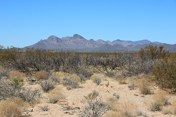 The Whitlock Mountains and Javelina Peak from the southeast on the drive in to Whitlock Peak