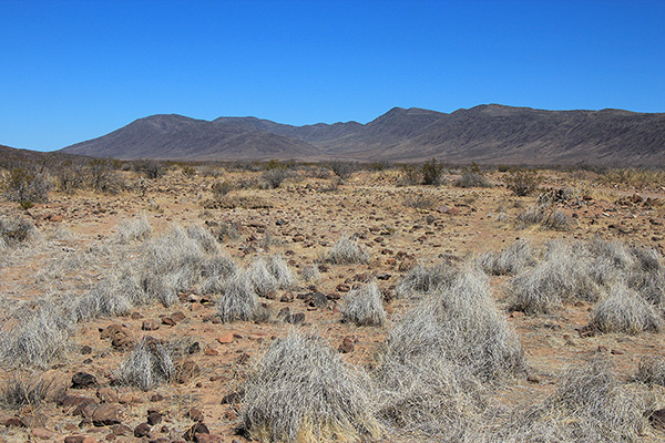 Poppy Canyon and Whitlock Peak from the south