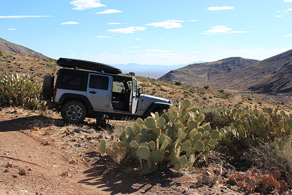 Matthias and I park our cars amongst the prickly pear