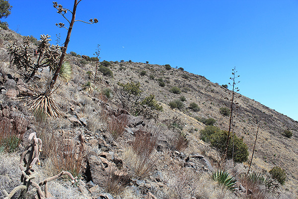 The Whitlock Peak summit appears above from the steep south slope