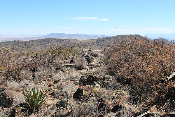 The Whitlock Peak summit cairn lies ahead with the Dos Cabezas Mountains on the horizon