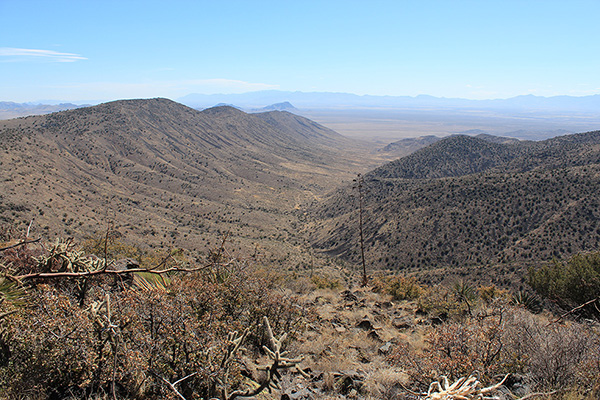 Poppy Canyon and the distant Chiricahua Mountains to the south from the summit
