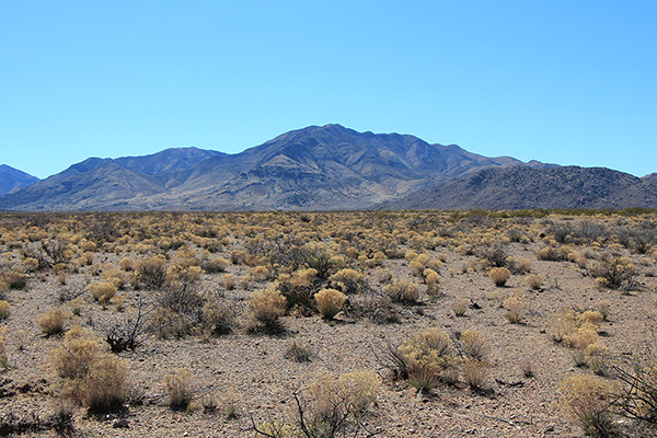 Wood Mountain from Wood Canyon Road south of San Simon, Arizona