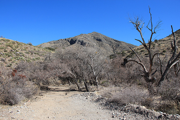 Our campsite in Wood Canyon with Dunn Springs Mountain beyond