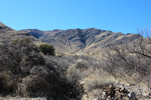 Wood Mountain from near our campsite in Wood Canyon