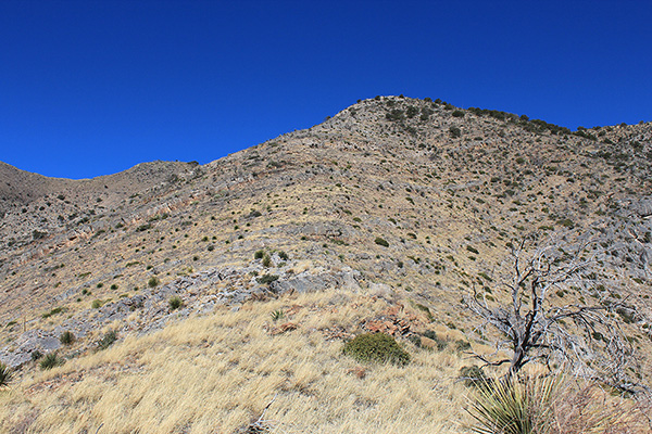 The upper ESE Ridge climbs to intersect the long ENE Ridge