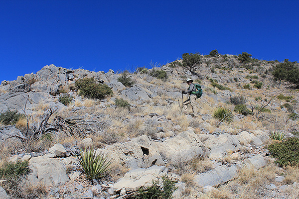 Matthias leading high on the ESE Ridge