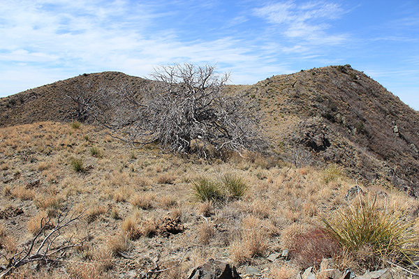 Approaching the south (L) and north (R) summits of Wood Mountain