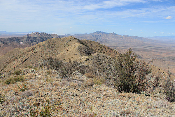Bowie Mountain (L) and the distant Dos Cabezas Mountains (R) from Wood Mountain