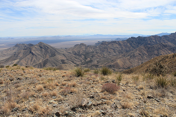 Several New Mexico Bootheel peaks rise to the southeast from the north summit of Wood Mountain